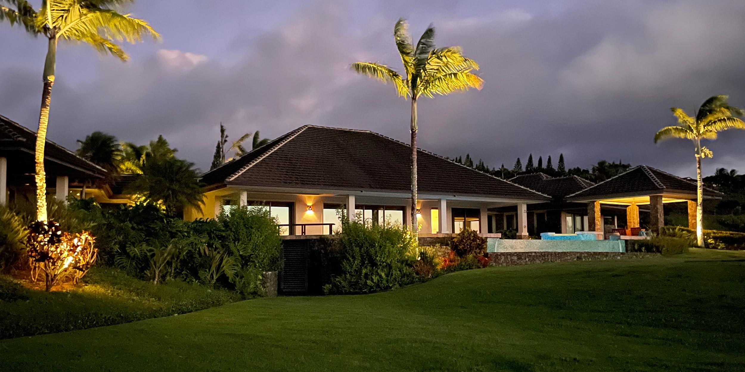 Modern tropical home exterior with palm trees and evening lighting